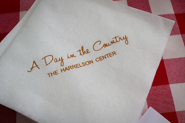 A Day in the Country